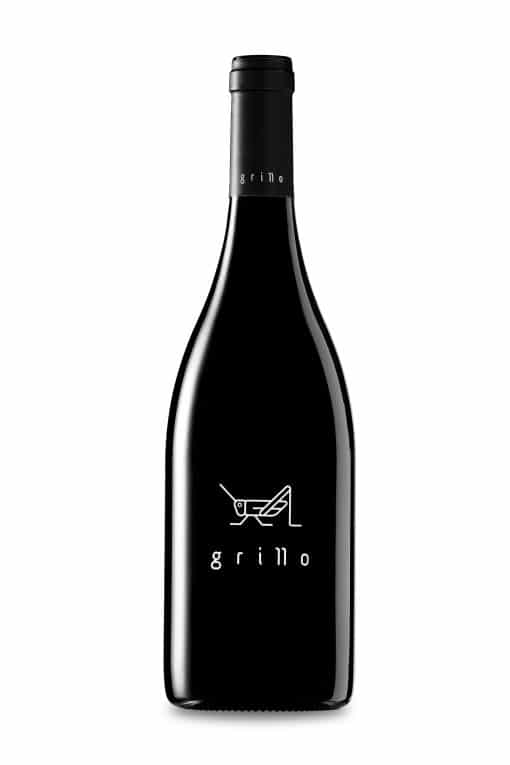 Grillo